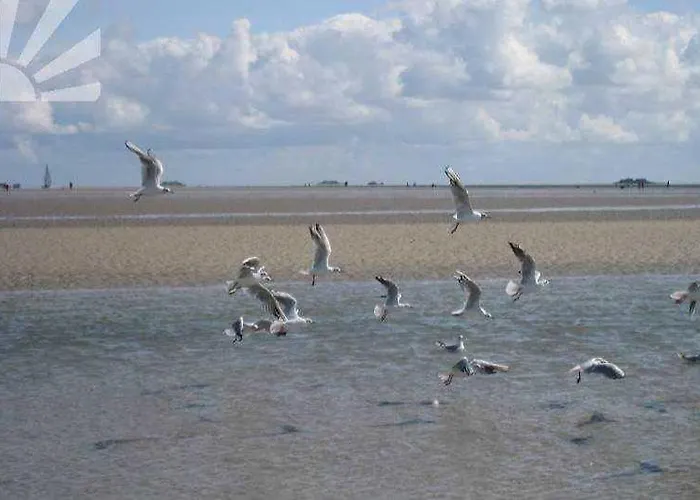 Am Kliff 9, * Goting